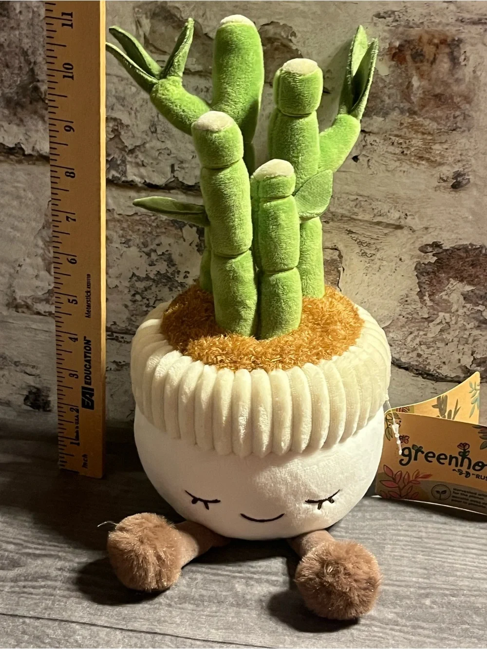 New!! Greenhouse by RUSS plush bamboo planter “Malia” cream pot